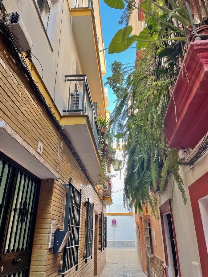 Appartement Barrio De Santa Cruz, La Juderia. Zona Inmejorable à Séville Extérieur photo